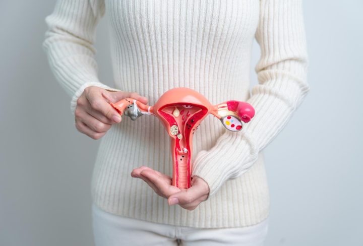 EN-B-OBGYN-CN2-V13_20260423_202104_v1